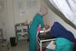 Parallel Program Jember Nomor 2